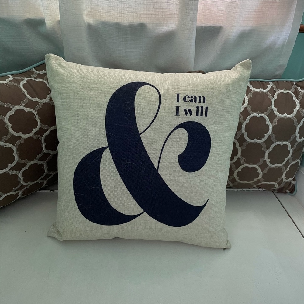 Throw Pillow NWOT